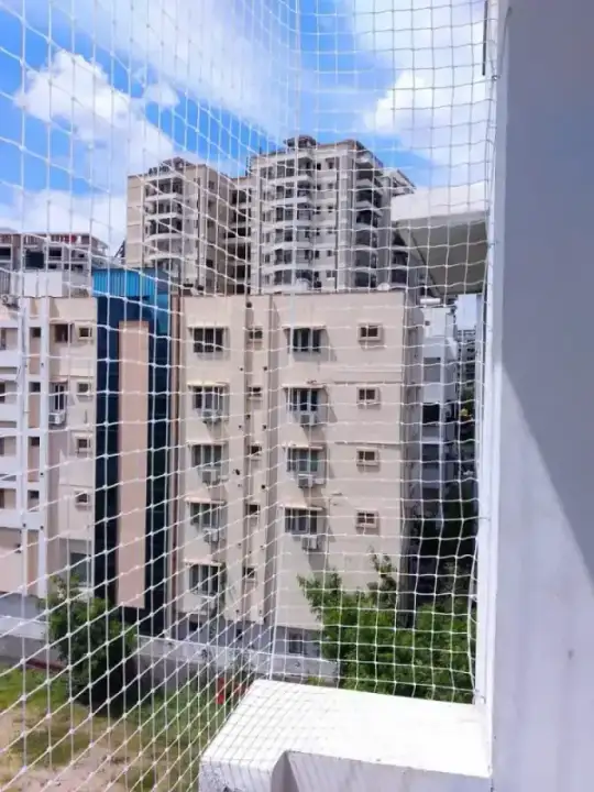 Pigeon Nets installation in Chennai — pigeon nets service by Feather Guard Safety Nets, photo 2