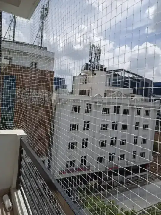 Pigeon Nets installation in Chennai — pigeon nets service by Feather Guard Safety Nets, photo 4